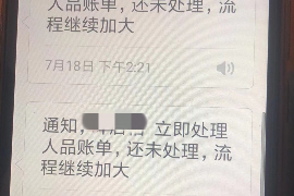 宣城企业清欠服务